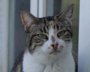 Lotte Bild von Lotte