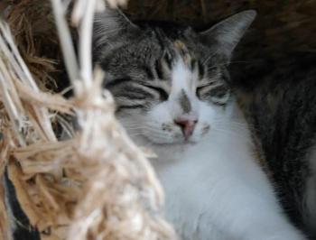 Lotte Bild von Lotte