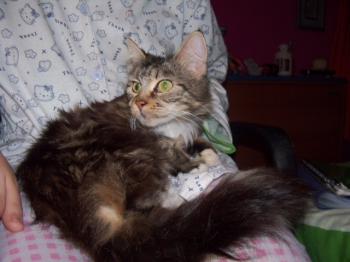 Yudith Bild von Yudith