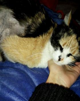 Bild von Muneca