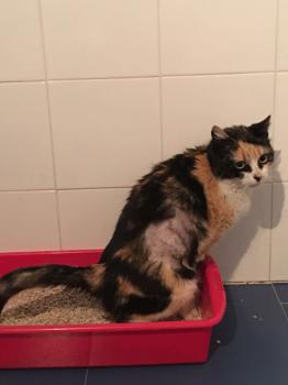 Bild von Muneca