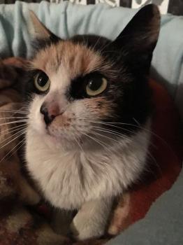 Bild von Muneca