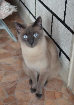 Lui Bild von Lui