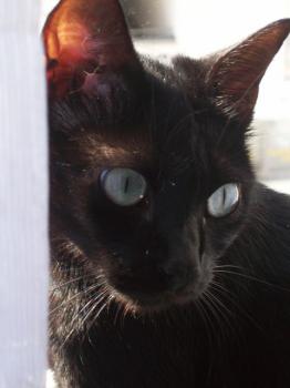 Eleonora Bild von Eleonora