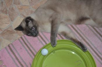 Lui Bild von Lui