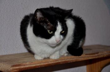 Agata Bild von Agata