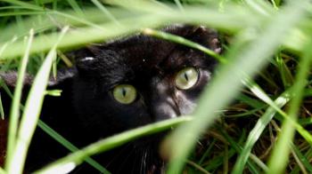 Yoyo Bild von Yoyo