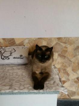 Lola Bild von Lola