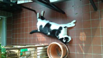 Rocky Bild von Rocky