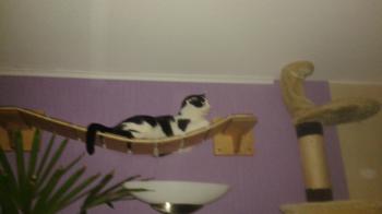 Rocky Bild von Rocky