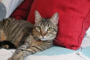 Lenny Bild von Lenny