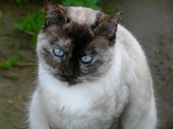 Bild von Mandy