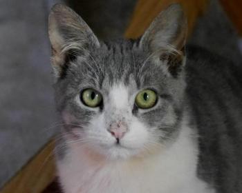 Bild von Taio