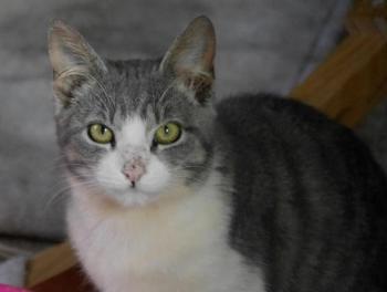 Bild von Taio