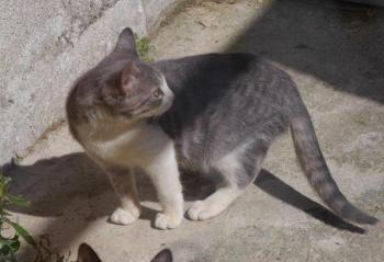 Bild von Taio