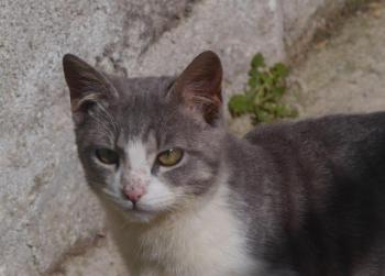 Bild von Taio