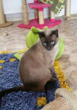 Lui Bild von Lui
