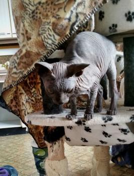 Bild von Blacky