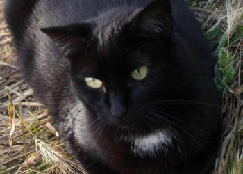 Bild von Sally