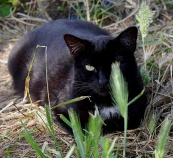 Bild von Sally