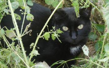 Bild von Sally