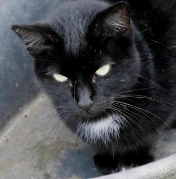 Bild von Sally