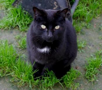 Bild von Sally