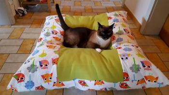 Coco Bild von Coco
