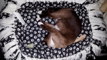 Coco Bild von Coco