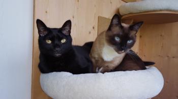 Coco Bild von Coco
