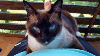 Coco Bild von Coco
