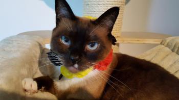 Coco Bild von Coco