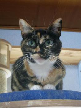 Bild von Jana