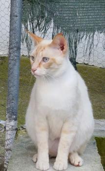 Caramelo Bild von Caramelo