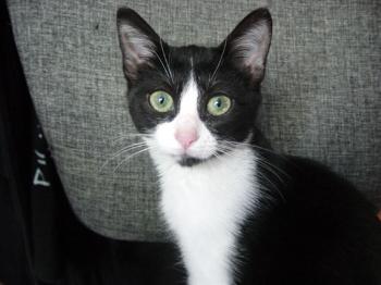 Marian Bild von Marian
