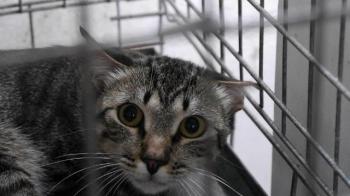 Simon Bild von Simon
