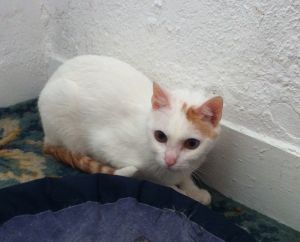 Yuki Bild von Yuki