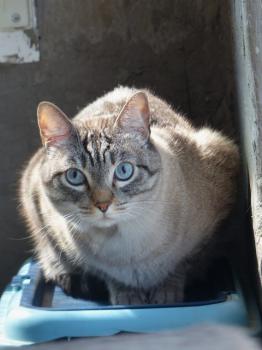 Bild von Nino