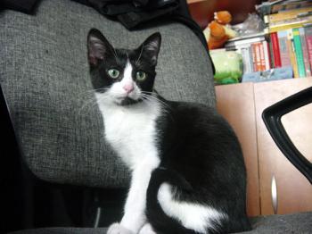 Marian Bild von Marian