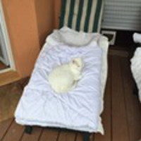 Sophia Bild von Sophia