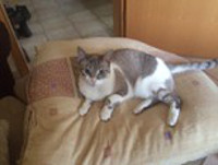 Vincenta Bild von Vincenta
