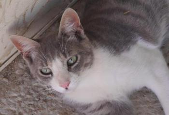 Bild von Taio