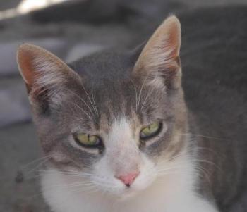 Bild von Taio
