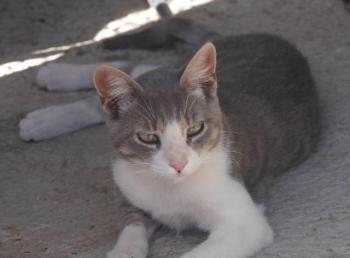 Bild von Taio