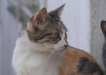 Lotte Bild von Lotte