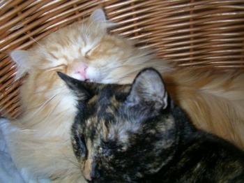 Tina Bild von Tina