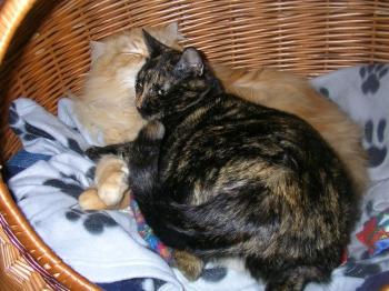 Tina Bild von Tina