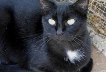 Bild von Sally