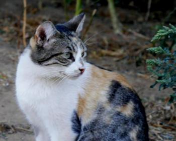 Lotte Bild von Lotte
