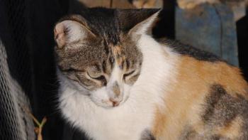 Lotte Bild von Lotte